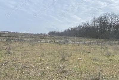 Teren de 950 mp, în Central - 5