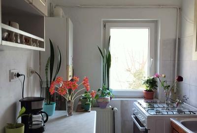 Garsonieră decomandată în Freidorf - 6