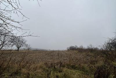 Spațiu comercial, în Siliștea - 5