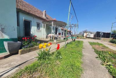 Casă cu Teren 1996 Mp în Giulvăz - 2