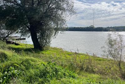 Delta Dunarii - Sat Ilganii de Jos - Bratul Sf. Gheorghe, teren 1477mp - 2