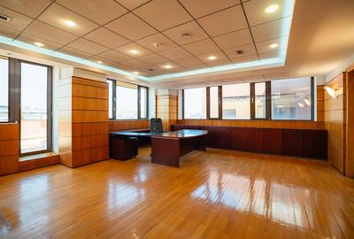 Spatii birouri de inchiriat zona Piata Victoriei - Dorobanti, Bucuresti - 2