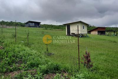 Teren Construcții intravilan de 440 mp, în Chiperești - 7