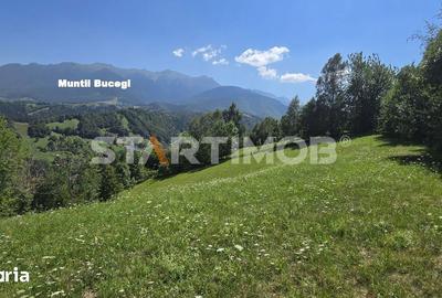 Teren de 3296 mp, în Bran - 13