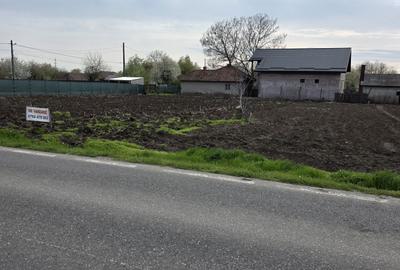 Teren de 500 mp, în Movilița - 14