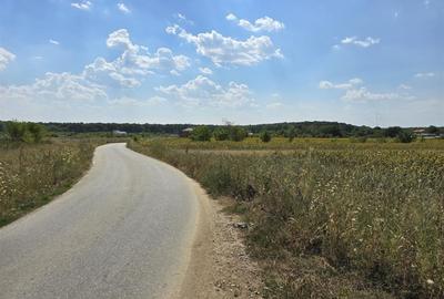 Loturi in rate Ciolpani 536mp + cota drum 188mp - 5