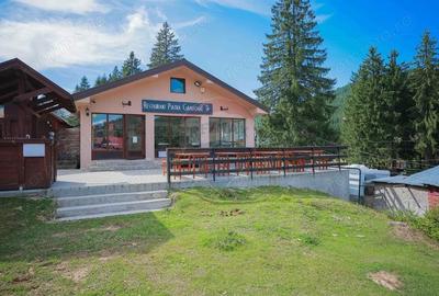 Casă cu 10 camere cu Teren 515 Mp în Vârtop - 12