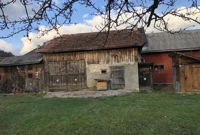 Casă cu 2 camere în Rogoz - 7