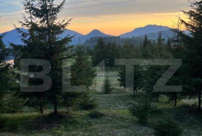 Teren extravilan cu priveliste - Tihuta Cota 1.201 - 2