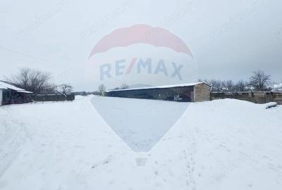 Casă cu 5 camere cu Teren 7531 Mp în Sacu - 6