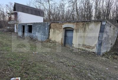 Teren de 79000 mp, în Central - 11