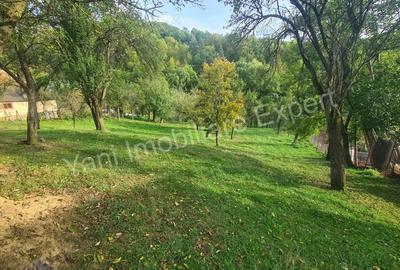 Teren de 2491 mp, în Arefu - 7