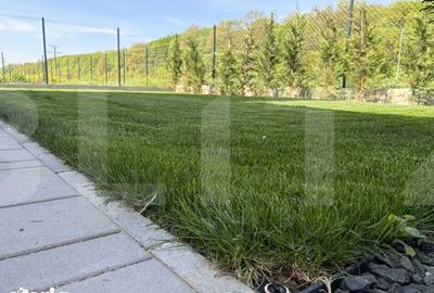 Casă cu 4 camere cu Teren 320 Mp în Ghiroda - 14