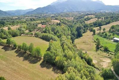 Teren intravilan, priveliste deosebita - 19