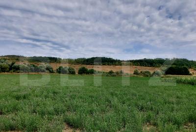 De vanzare teren Fundatura 27500mp - intravilan - 11