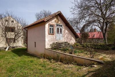 FILM! Casa  pe domeniu de 3.117 mp, Viperesti  Buzau - 15