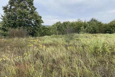 Teren extravilan de vanzare in Tileagd - 3166 mp cu panorama superba - 16