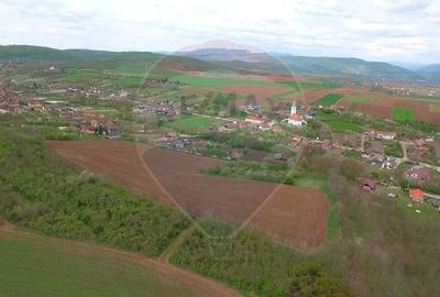 Teren intravilan de 34425 mp, în Bădeni - 16