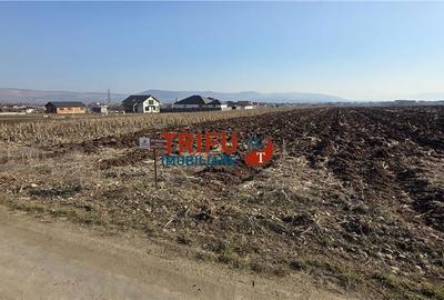 Spațiu comercial, în Central