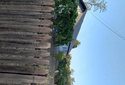 Casă cu 3 camere cu Teren 2080 Mp în Dor Mărunt - 1