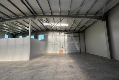 Inchiriere Hala 600 mp CHITILA PARC TBM - 2