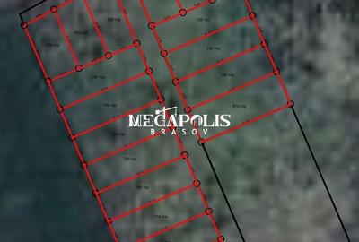 Teren Construcții intravilan de 500 mp, în Bod - 5