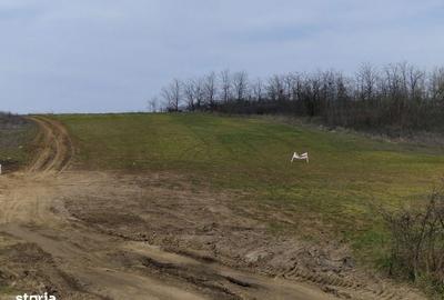 Teren de 6050 mp, în Șimnicu de Sus - 2