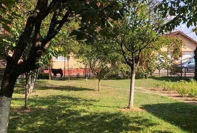 Casă cu grădină, foișor și garaj dublu de vânzare - zona Cicârlău - 1