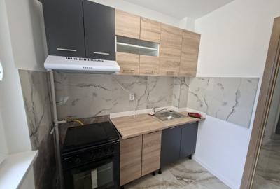 Apartament cu 2 camere semidecomandat în Teiul Doamnei - 9