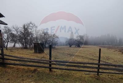 Teren INTRAVILAN 23.238m.p. Dorna-Arini / Cozanesti - 8