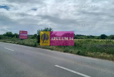 Teren de 1900 mp, în Săbăreni - 4