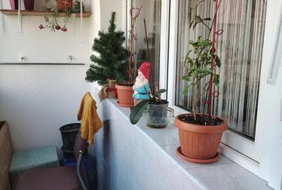 Particular, vand ap 2 camere - 7