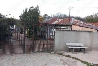Casă cu 3 camere cu Teren 4700 Mp în Varlaam - 1