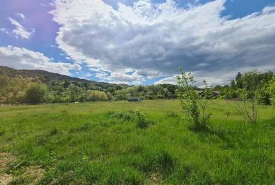 Teren de 5000 mp, în Vlădesti - 3