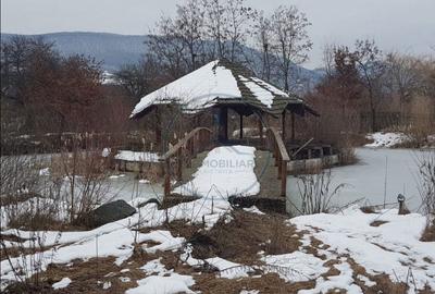 Teren de 6500 mp, în Șieu - 8