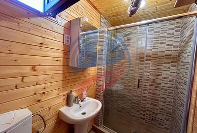 Casă individuală cu 4 camere cu Teren 1640 Mp în Dubova - 12