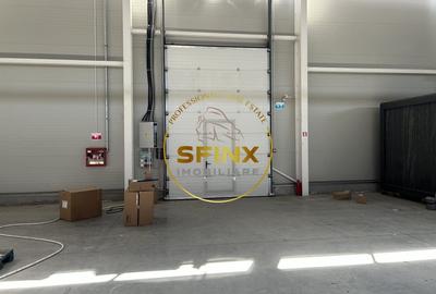 Spațiu industrial, de 3,000 mp, în Cernica - 3