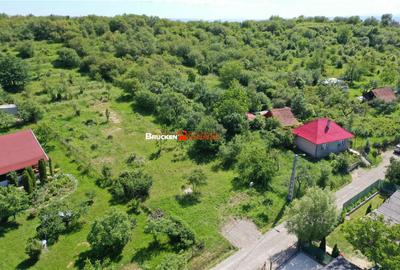 Teren de 2878 mp, în Podgoria - 5