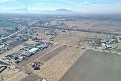 Teren Extravilan, P.U.Z. inceput - 8