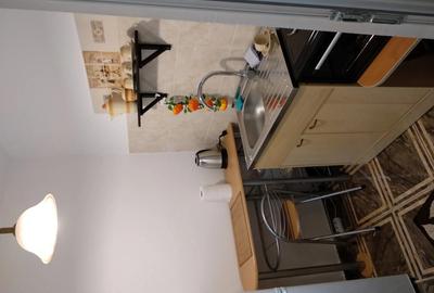 Apartament cu 2 camere semidecomandat în Brotăcei - 1