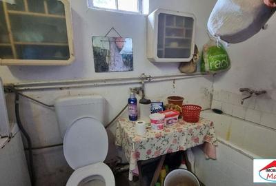 Casa in Viile Satu Mare cu teren mare 55000 Euro - 11