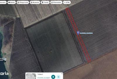 Spațiu comercial, în Dulceni - 2