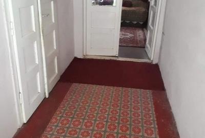 Casă cu 2 camere în Alioș - 3