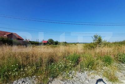 Teren de 9500 mp, în Abator - 2