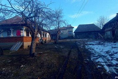 Gospodarie rurala, casa, terenuri - 1
