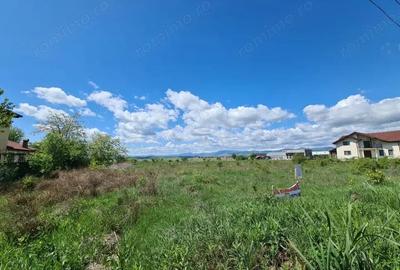 Vanzare loturi teren intravilan, situate in cartier Preajba, str. Frasinetului - 7