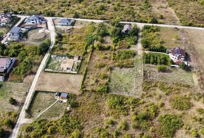 Teren de 550 mp, în Vișani - 3