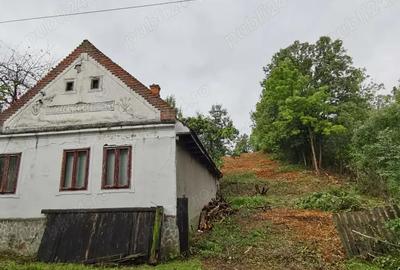 Casa batraneasca + teren Cralovat(Timis) - 2