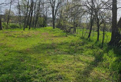 Casă cu 2 camere în Exterior Vest - 3