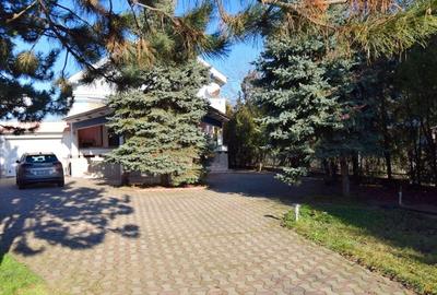 Vila deosebita pe Malul Lacului Grivita – Confort si Eleganta! - 2